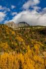 Autumn hues below The Garden Wall in Glacier National Park, Montana, USA Art Print